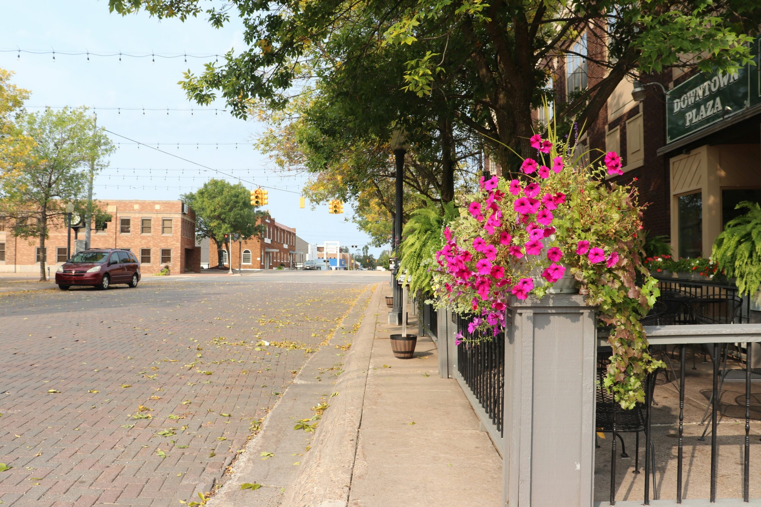 downtown iron mountain road view with flowers and shops